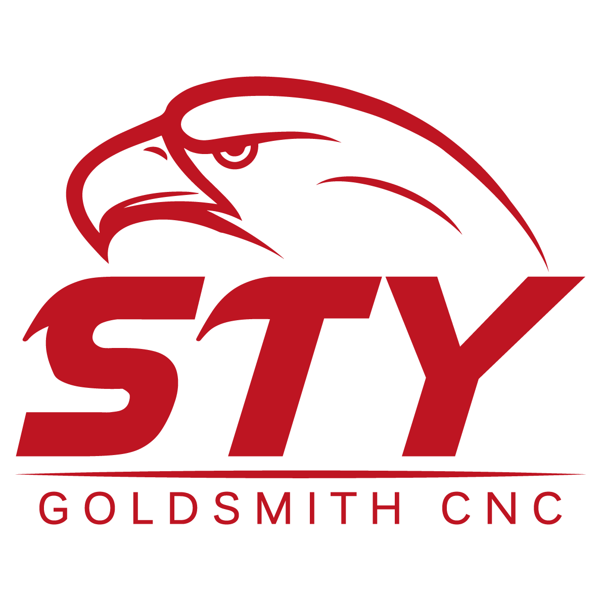 STY Goldsmith CNC